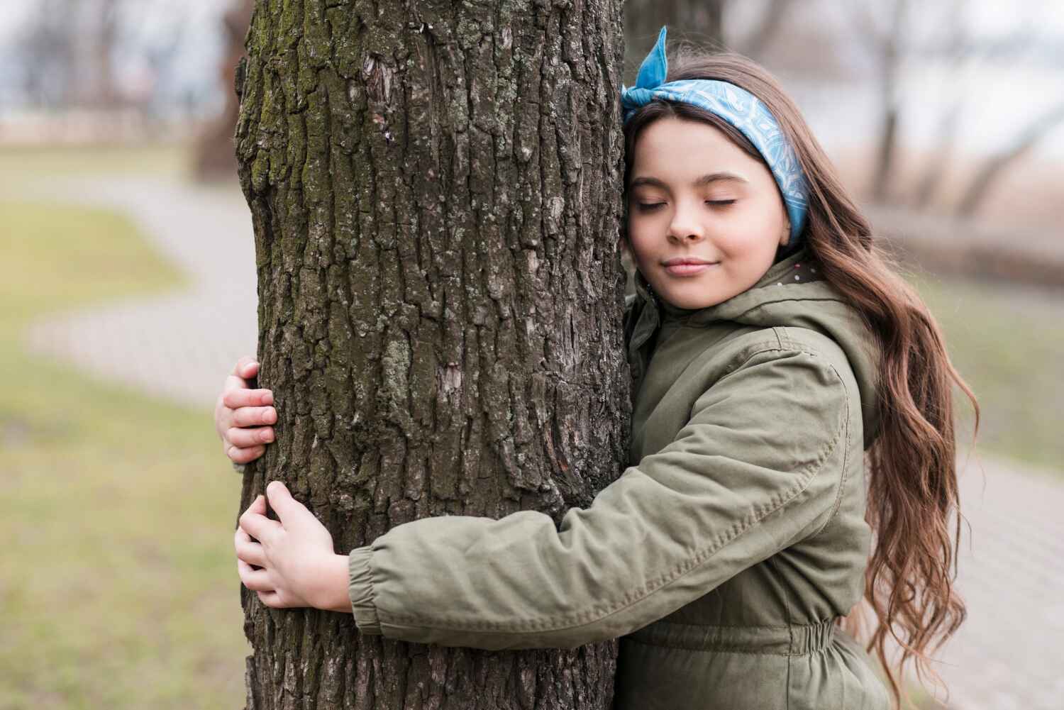 The Steps Involved in Our Tree Care Process in Plummer, ID